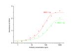 IL-17A Antibody in ELISA (ELISA)