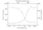 HGF Antibody in Neutralization (Neu)