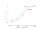 EPO Antibody in ELISA (ELISA)