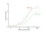 IL-17A Antibody in ELISA (ELISA)