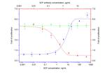 SCF Antibody in Functional Assay (FN)