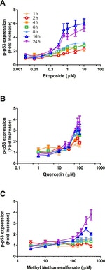 Phospho-p53 (Ser15) Antibody in Flow Cytometry (Flow)