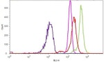 FITC Antibody