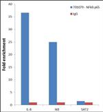 NFkB p65 Antibody in ChIP Assay (ChIP)