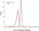 ERK1 Antibody in Flow Cytometry (Flow)