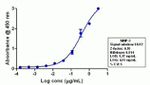 MMP3 Antibody in ELISA (ELISA)