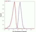 MMP3 Antibody in Flow Cytometry (Flow)