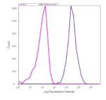 MMP16 Antibody in Flow Cytometry (Flow)