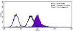 SRC Antibody in Flow Cytometry (Flow)