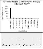 H4K20me3 Antibody in Peptide array (ARRAY)