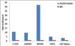 Histone H2A.X Antibody in ChIP Assay (ChIP)