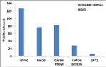 JMJD2A Antibody