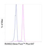 RUNX2 Antibody in Flow Cytometry (Flow)