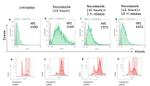 FOXM1 Antibody in Flow Cytometry (Flow)