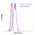 IDO Antibody in Flow Cytometry (Flow)