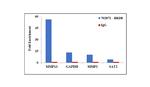 BRD8 Antibody in ChIP Assay (ChIP)