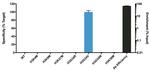 H3.3 G34V oncohistone mutant Antibody in ChIP Assay (ChIP)