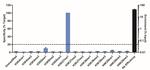 H3K27me1 Antibody