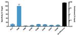 H3.3 K4M Antibody in ChIP Assay (ChIP)