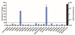 H3K14ac Antibody in ChIP Assay (ChIP)