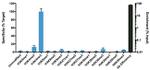 H3K4me3 Antibody