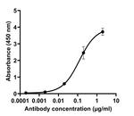 SARS-CoV-2 Spike Protein (RBD) Antibody in ELISA (ELISA)