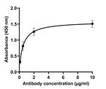 SARS-CoV-2 Spike Protein (RBD) Antibody in ELISA (ELISA)