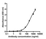 SARS-CoV-2 Spike Protein (RBD) Antibody in ELISA (ELISA)