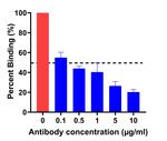 SARS-CoV-2 Spike Protein (RBD) Chimeric Antibody