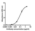 SARS-CoV-2 Spike Protein (RBD) Chimeric Antibody in ELISA (ELISA)