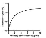 SARS-CoV-2 Spike Protein (RBD) Chimeric Antibody in ELISA (ELISA)