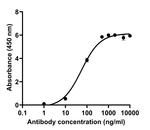 SARS-CoV-2 Spike Protein (RBD) Chimeric Antibody in ELISA (ELISA)