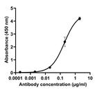 SARS-CoV-2 Spike Protein (RBD) Antibody in ELISA (ELISA)