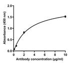 SARS-CoV-2 Spike Protein (RBD) Antibody in ELISA (ELISA)