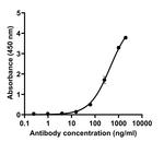 SARS-CoV-2 Spike Protein (RBD) Antibody in ELISA (ELISA)