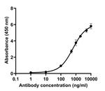 SARS-CoV-2 Spike Protein (RBD) Antibody in ELISA (ELISA)