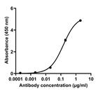 SARS-CoV-2 Spike Protein (RBD) Chimeric Antibody in ELISA (ELISA)