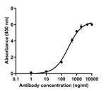 SARS-CoV-2 Spike Protein (RBD) Chimeric Antibody in ELISA (ELISA)