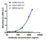 SARS-CoV-2 Spike Protein (RBD) Chimeric Antibody