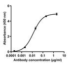 SARS-CoV-2 Spike Protein (RBD) Antibody in ELISA (ELISA)