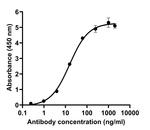 SARS-CoV-2 Spike Protein (RBD) Antibody in ELISA (ELISA)