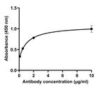 SARS-CoV-2 Spike Protein (RBD) Chimeric Antibody in ELISA (ELISA)