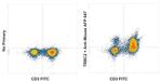 TRBC2 Chimeric Antibody in Flow Cytometry (Flow)