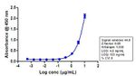 IGF1R beta Antibody in ELISA (ELISA)