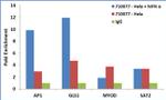 STAT3 Antibody