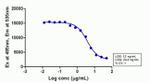 FITC Antibody