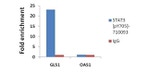 Phospho-STAT3 (Tyr705) Antibody