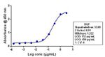 HGF Antibody in ELISA (ELISA)