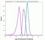 Alexa Fluor 488 Antibody in Flow Cytometry (Flow)