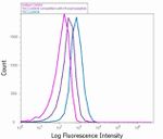 Phospho-TSC2 (Ser939) Antibody in Flow Cytometry (Flow)